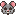 rat